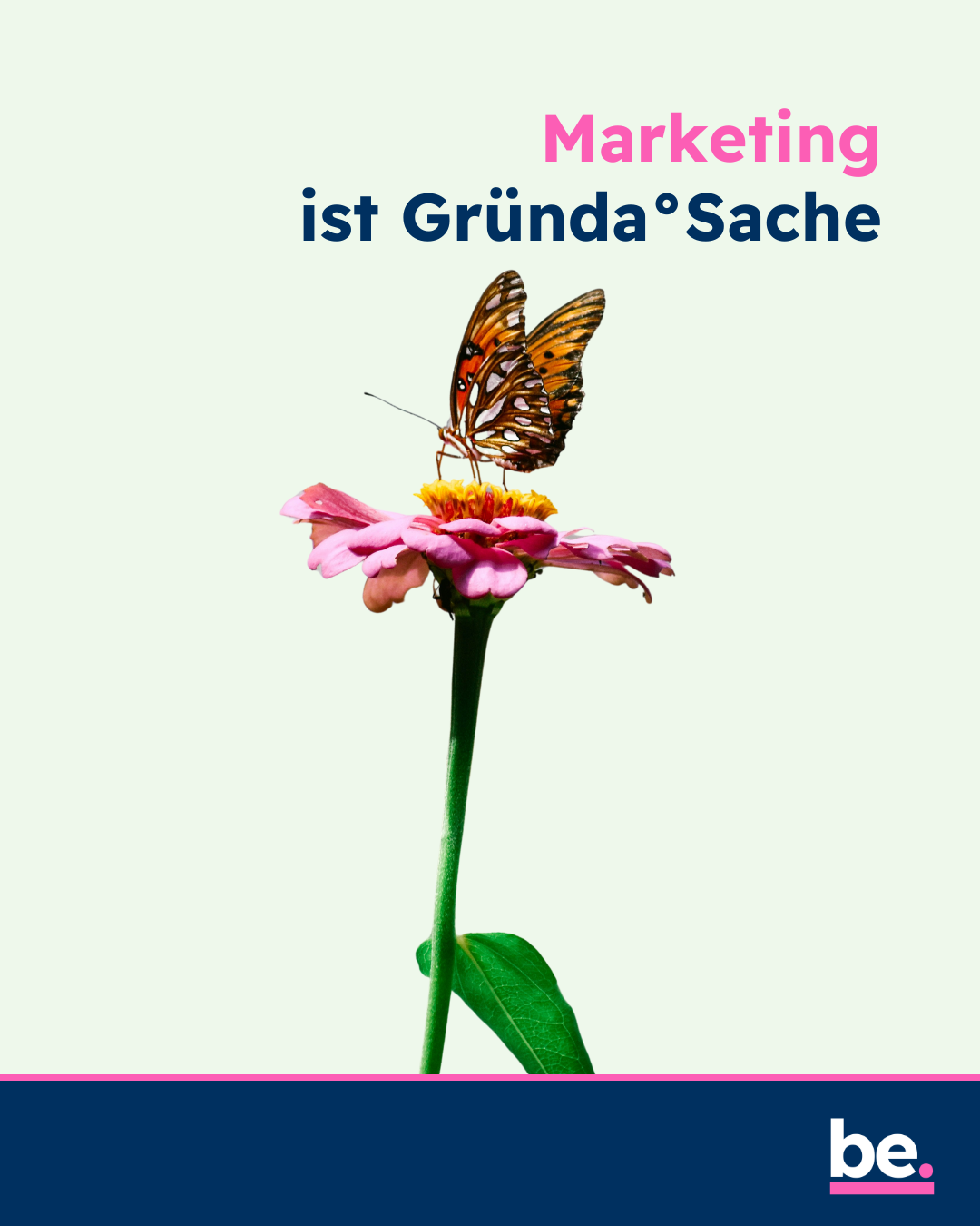 Foto eines Schmetterlings auf einer pinken Blüte. Darüber der Text: Marketing ist Gründa°Sache