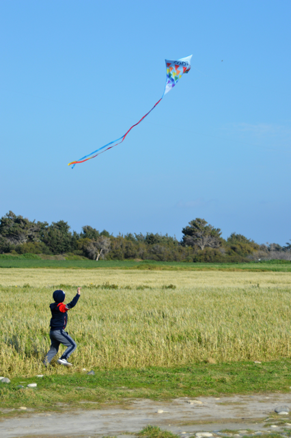Foto eines Kindes, das über eine grüne Wiese läuft und einen Papierdrachen in einen strahlend blauen Himmel steigen lässt