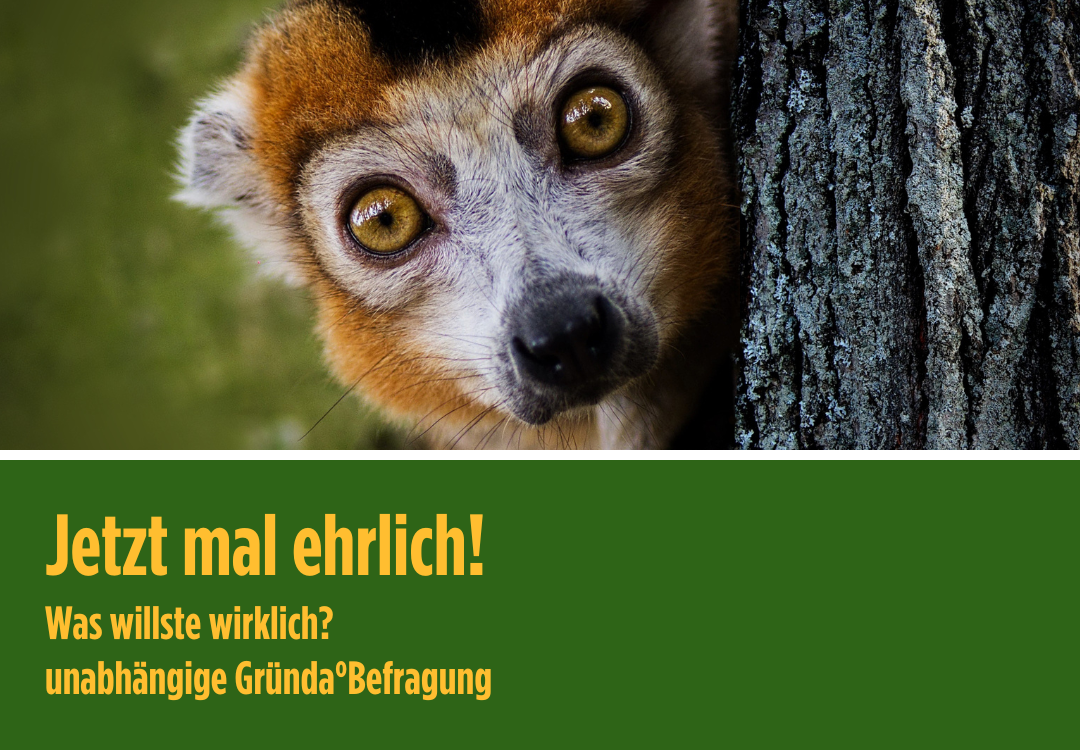 Jetzt mal ehrlich! Was willste wirklich? unabhängige Gründa°Befragung