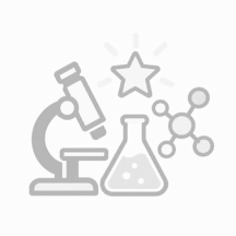 Forschung, Innovation und Zukunft