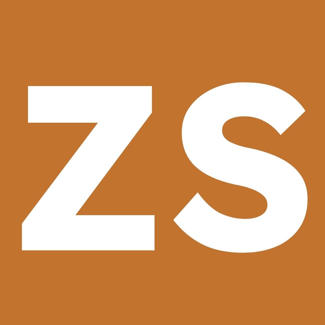Profilbild des Chats, die Buchstaben ZS