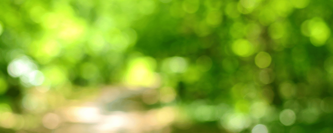 Banner: grasshopper - das wahre leben